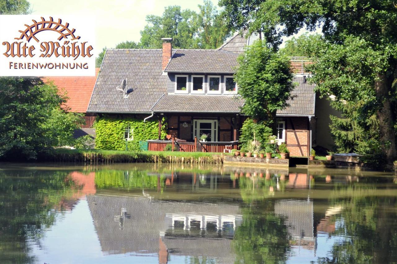 Ferienwohnung „Alte Muehle“ บาด โรดัค ภายนอก รูปภาพ