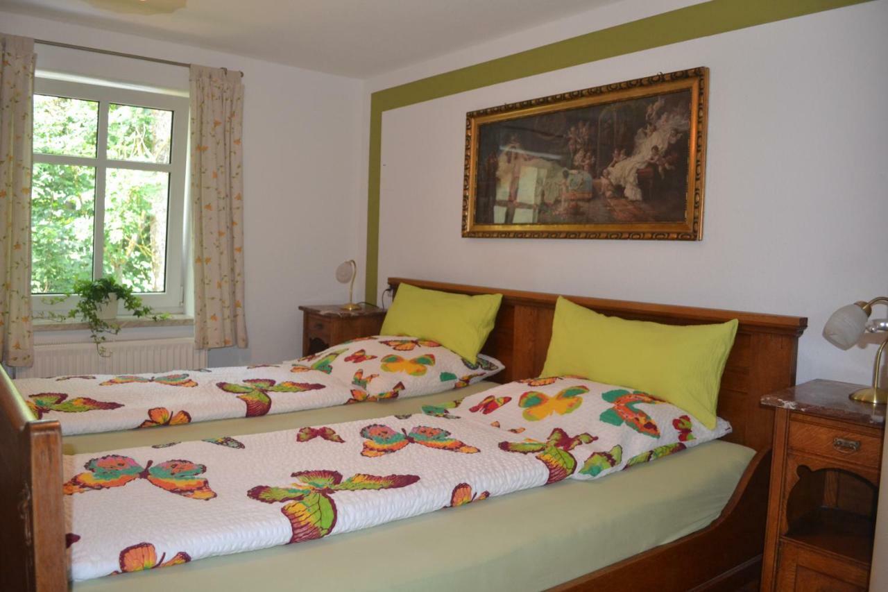 Ferienwohnung „Alte Muehle“ บาด โรดัค ภายนอก รูปภาพ
